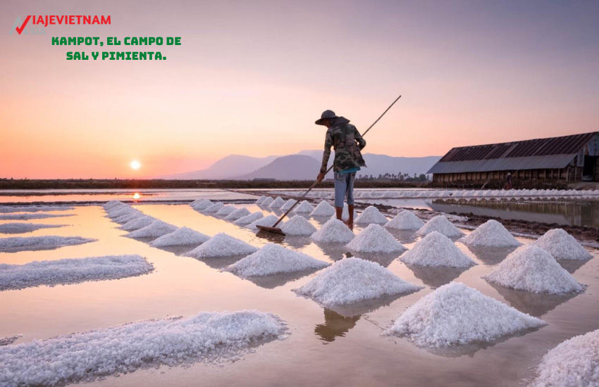 Kampot, el campo de sal y pimienta.