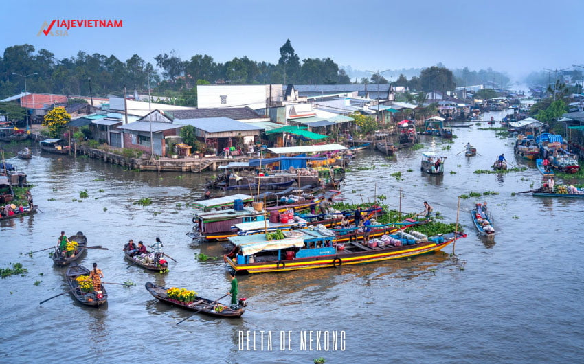 Delta de Mekong