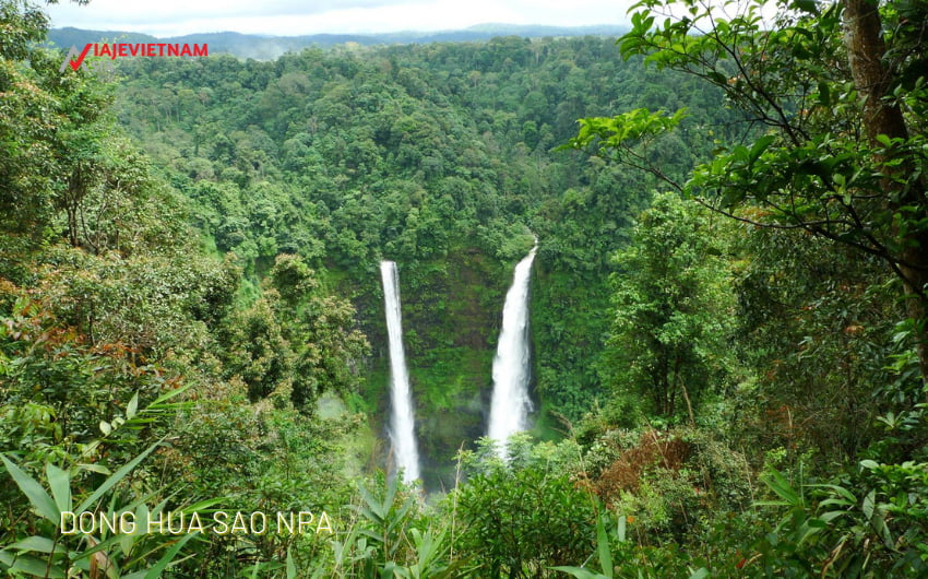  Qué ver en Champasak: Dong Hua Sao NPA