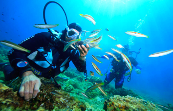 Vietnam y Camboya en 20 Días, Lo Mejor de Asia en Un Solo Viaje