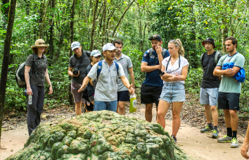 Visita a los Túneles de Cuchi y Ciudad Ho Chi Minh – 1 día