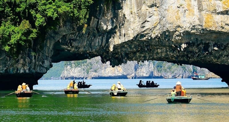 admira la majestuosa belleza de la naturaleza