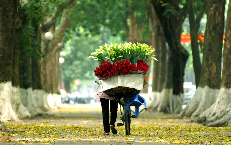 viaje relajante por vietnam en 13 dias 4