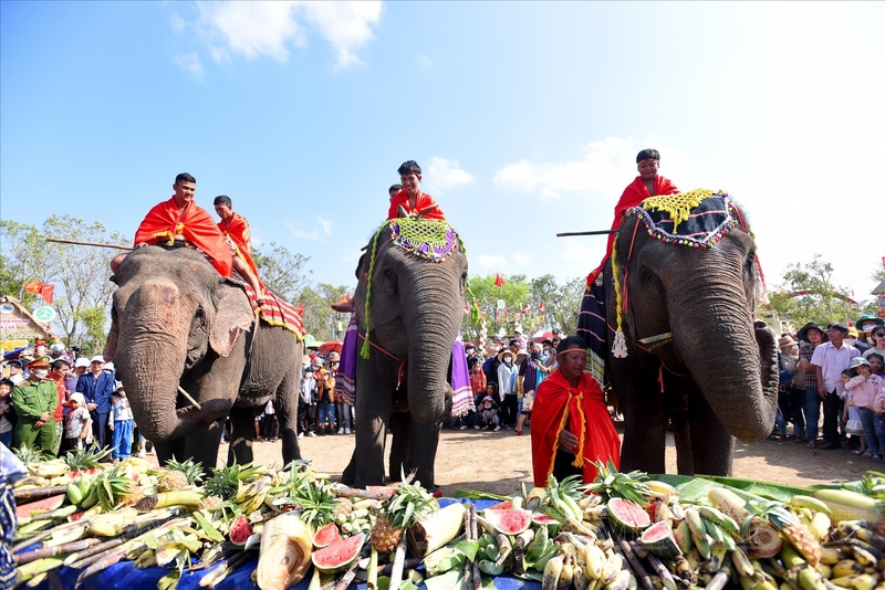 festival de carreras de elefantes en las tierras altas centrales