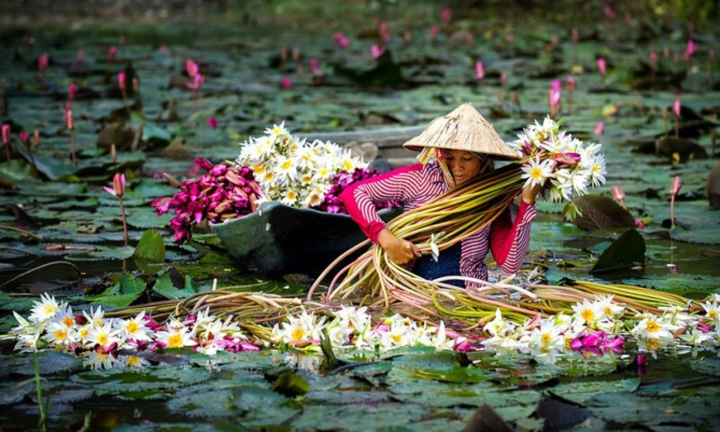 El clima de Vietnam en junio