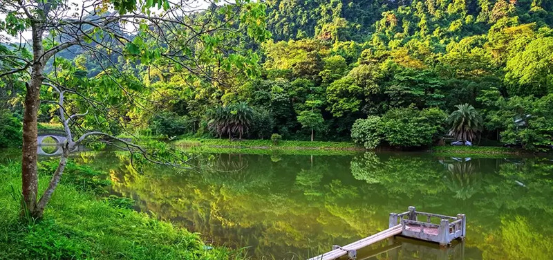 que nacional cuc phuong