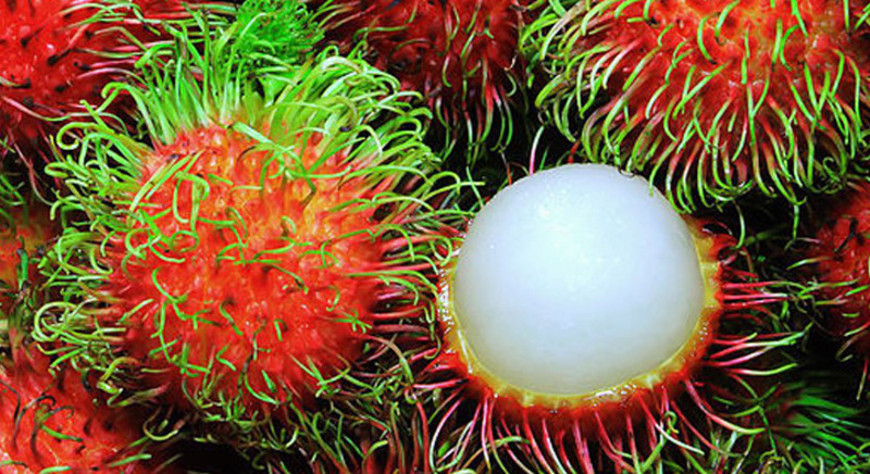 rambután