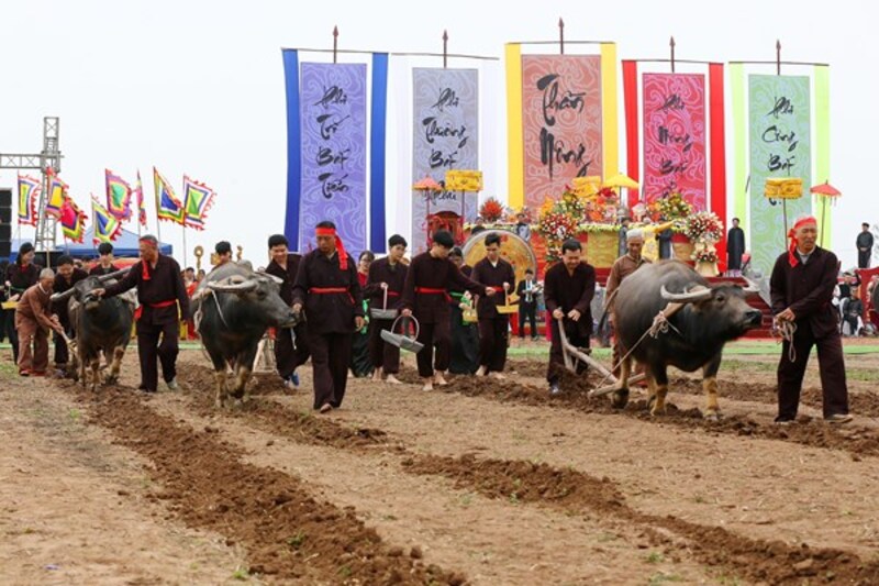 vive la cultura en los festivales