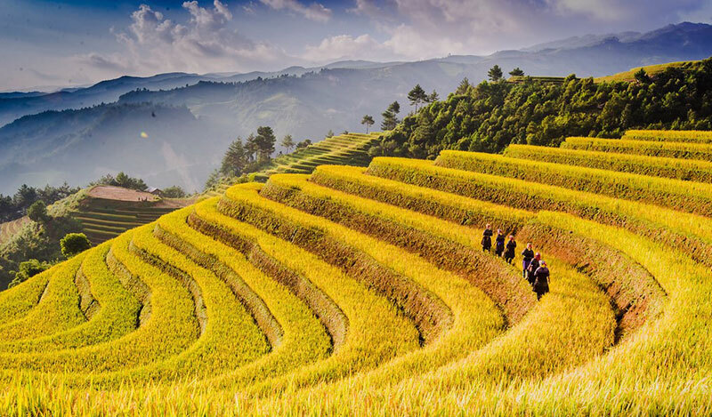 ubicacion de mu cang chai vietnam