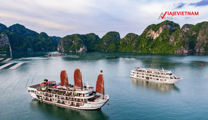 10 Mejores Cruceros En La Bahía De Halong 2025- Viaje Vietnam Asia