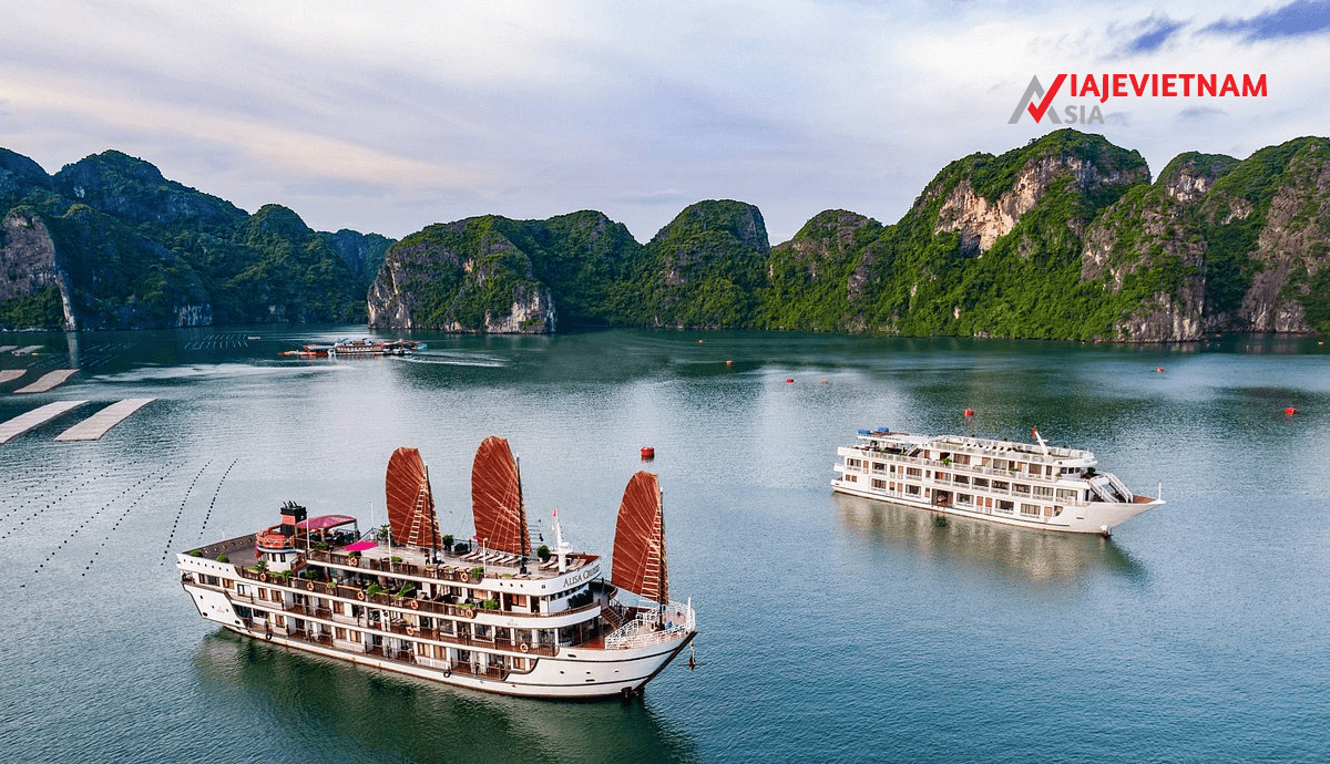 10 Mejores Cruceros En La Bahía De Halong 2025- Viaje Vietnam Asia